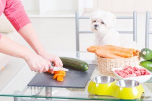 سبزیجات در غذای سگ